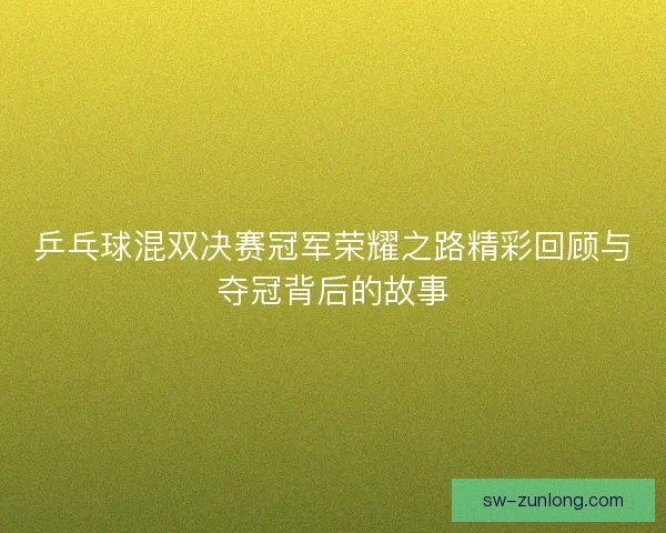 乒乓球混双决赛冠军荣耀之路精彩回顾与夺冠背后的故事